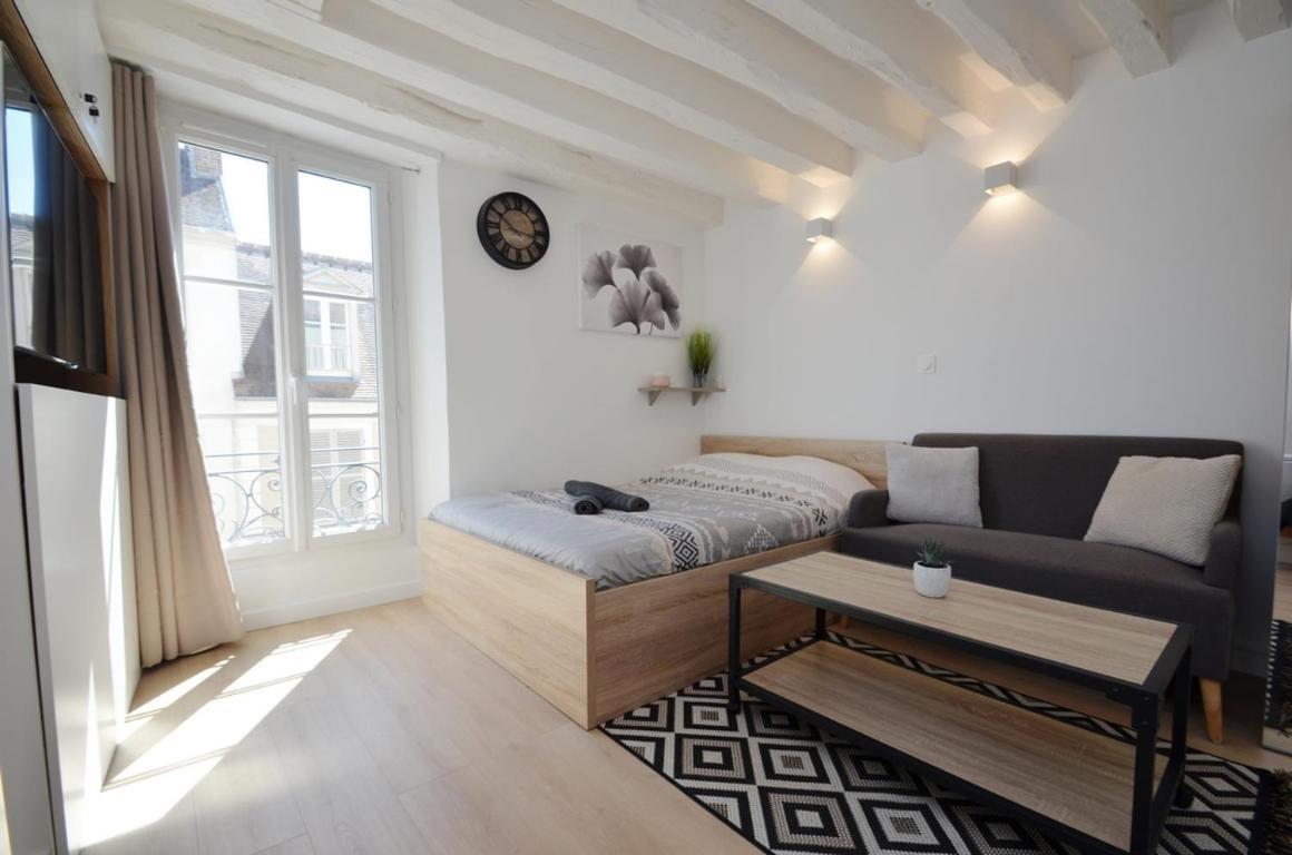 Apartament Le Petit France - Hyper Centre De Fontainebleau - Proche Insead Zewnętrze zdjęcie